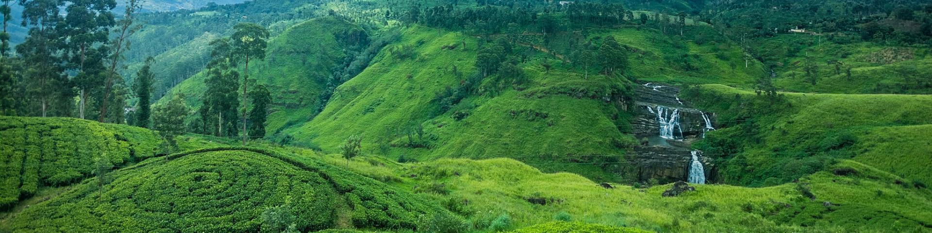 Sri Lanka – od świątyń po ocean | Kultura, safari i plaże Pasikudah
